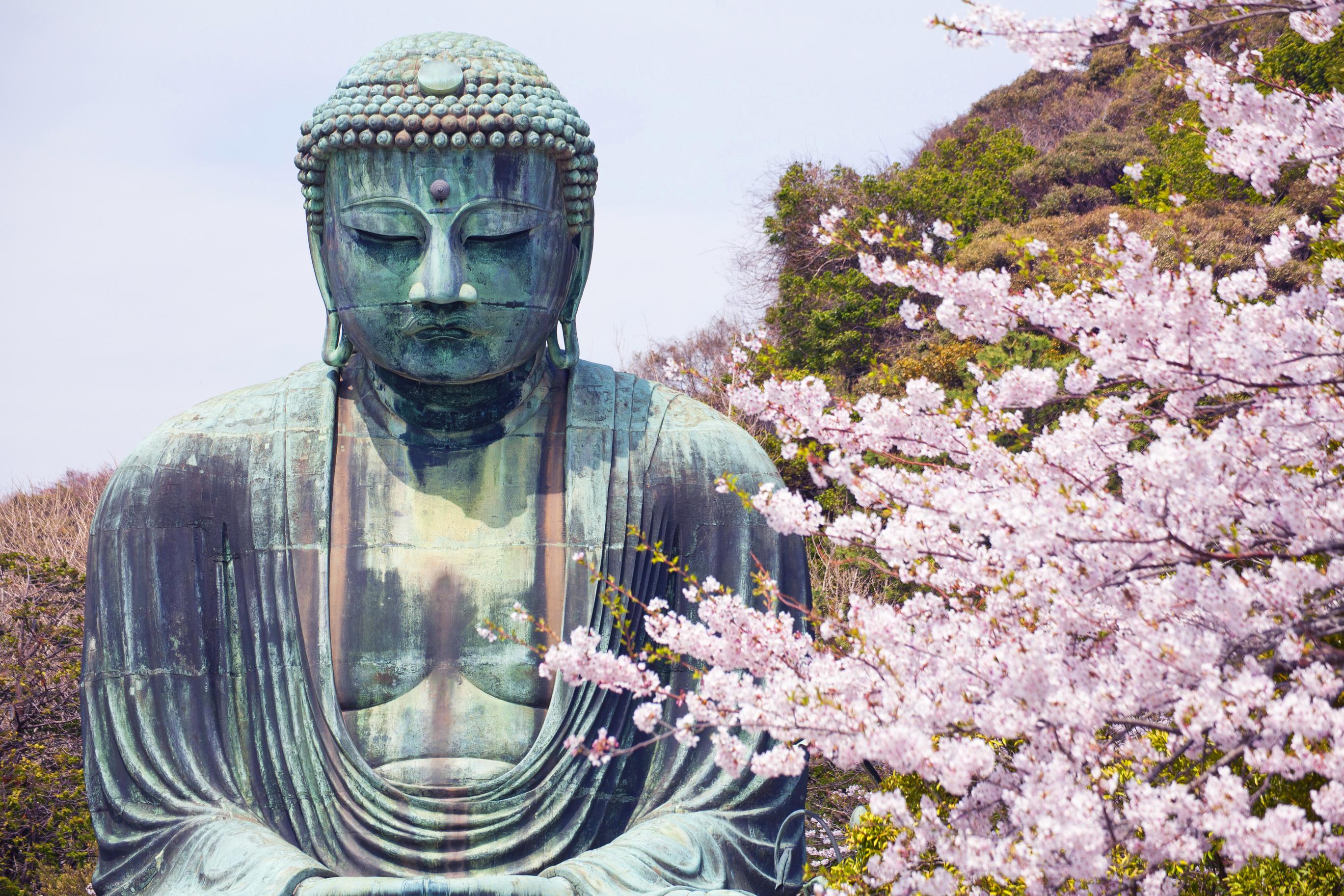 JAPAN IN BLOOM LUXURY CRUISE