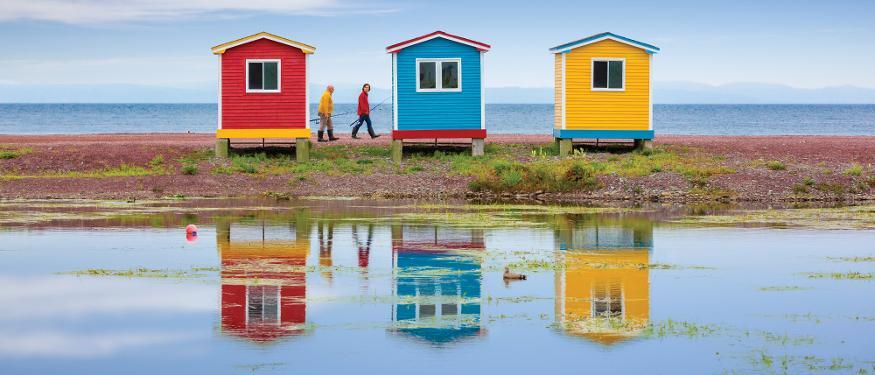 CIRCLE NEWFOUNDLAND AND LABRADOR